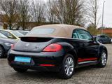 Volkswagen Beetle CABRIO CLUB TSI NAVI PDC SHZ GRA - Volkswagen Beetle in Bochum