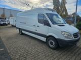 Mercedes-Benz Sprinter 313 CDI/Thermo King V300Max/2-Kühlbox - Mercedes-Benz 300cd