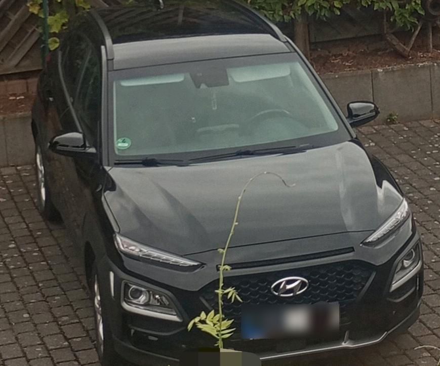 Image of Hyundai KONA