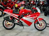 Ducati EINMALIG: Ducati 750 Sport NEUFAHRZEUG!!! - Offers matching your search criteria