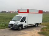 Fiat Ducato Kofferaufbau / Transporter / Lieferwagen