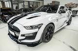 Ford Mustang GT 5,0 GT 500 SHELBY RECARO - Ford Mustang: Shelby Gt500