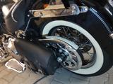 Harley-Davidson Softaile Deluxe mit Zertifikat!Frühlinsangebot. - Offers