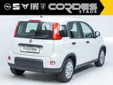 Fiat Panda Pandina City Paket 1.0 Mild Hybrid PDC Kli - Fiat Panda Gebrauchtwagen