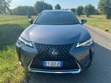 Lexus UX Hybrid 4WD Executive - Lexus UX aus 2019