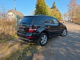 Mercedes-Benz ML 350 4MATIC - - Mercedes-Benz ML 350 mit Benzin-Antrieb