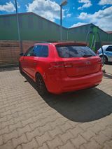 Audi A3 8P Quattro S-line Umbau/ Motorüber... - Audi A3 aus 2005 mit Diesel-Antrieb