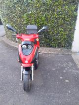 Andere Rex RS 2 50er 2-Takt - Angebote