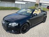 Audi A3 Cabriolet Ambition - Audi A3 aus 2010: Cabrio