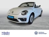 Volkswagen Beetle Cabriolet 1.4 TSI DSG Design Bluetooth - Volkswagen Beetle in Hamburg