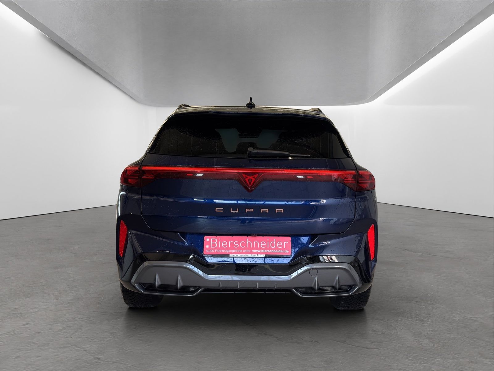 Cupra Terramar - Bild 8