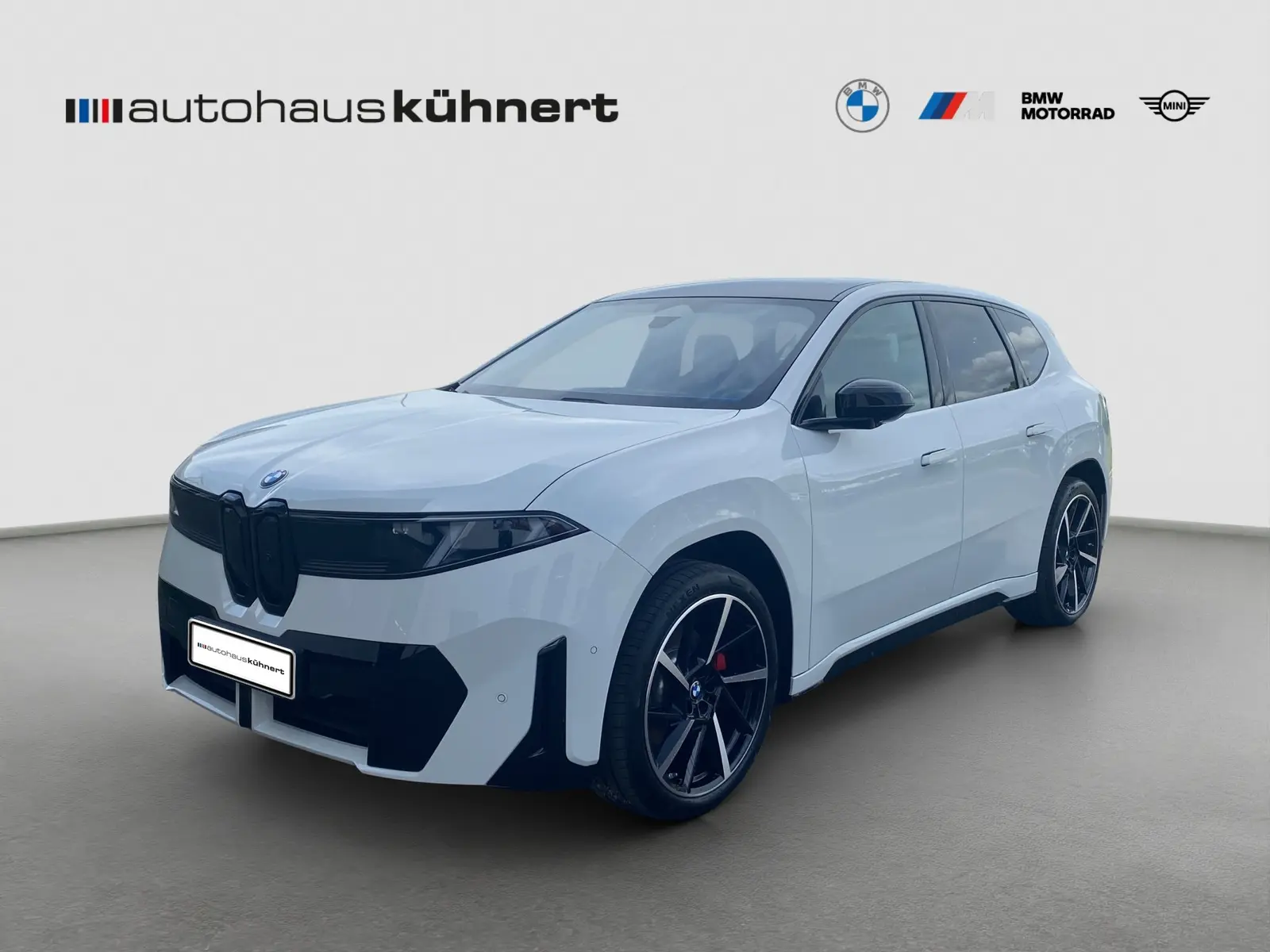 BMW iX3 50 xDrive M-Sport PRO ACC PanoD SpurAss