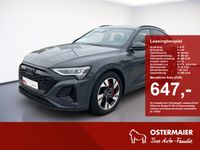 Audi Q8 e-tron - Vorschau Bild 1
