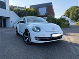 Volkswagen Beetle 1.2 TSI CLUB Cabriolet Topausstattung - Volkswagen Beetle CLUB mit Benzin-Antrieb