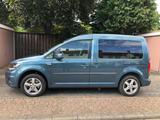 Volkswagen Caddy 1,4TSI 92kW DSG Rollstuhlgerecht AMF-Umbau - VW Caddy von privat