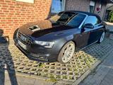 Audi A5 3.0 TDI S tronic quattro Cabriolet -