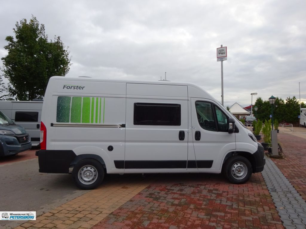 Forster, V 541 youngster "Sunny" NEU  Modell 2025 