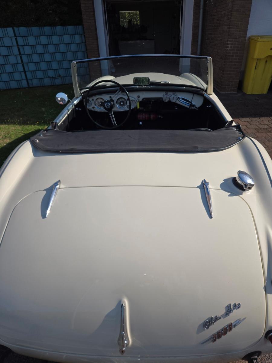 Austin Healey Andere