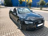 Audi A5 Cabrio 2.0 TFSI Quattro , Sport Plus Edition  - Audi A5 Gebrauchtwagen in Braunschweig