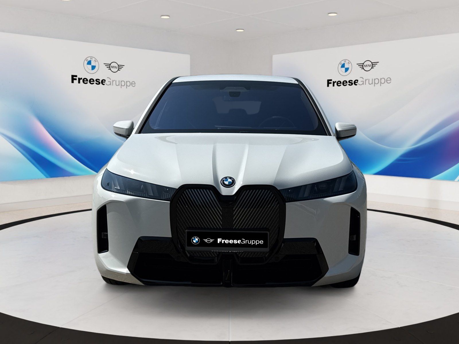 BMW iX xDrive45 0.25% foto 2