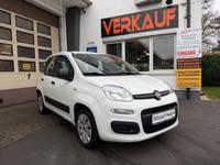 Fiat Panda POP Klima ZV Radio Navi Kamera Allwetter