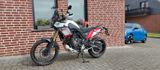 Yamaha Tenere 700 Euro 5 (DM11) READY. TO. RUMBLE. - Offers matching your search criteria