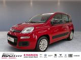 Fiat Panda Pop 1,2 8V KLIMA - Fiat Panda: Pop