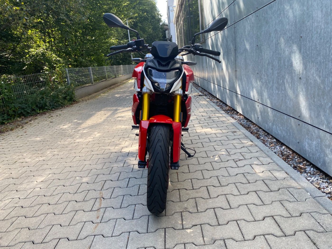 Fahrzeugabbildung BMW G 310 R