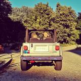 Jeep Wrangler Sahara 4.0 Automatik | Klima | % | 1/1 - Jeep Wrangler: 4.0