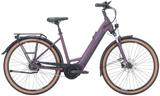 Pegasus Premio EVO 5R M (28 Zoll) - Pegasus E-Bikes