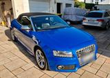 Audi S5 Cabrio 3.0T S-Tronic - Audi S5 aus 2010: Cabrio