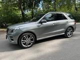 Mercedes-Benz ML 350 AMG-Line Super optik Top Ausstattung - Mercedes-Benz Ml