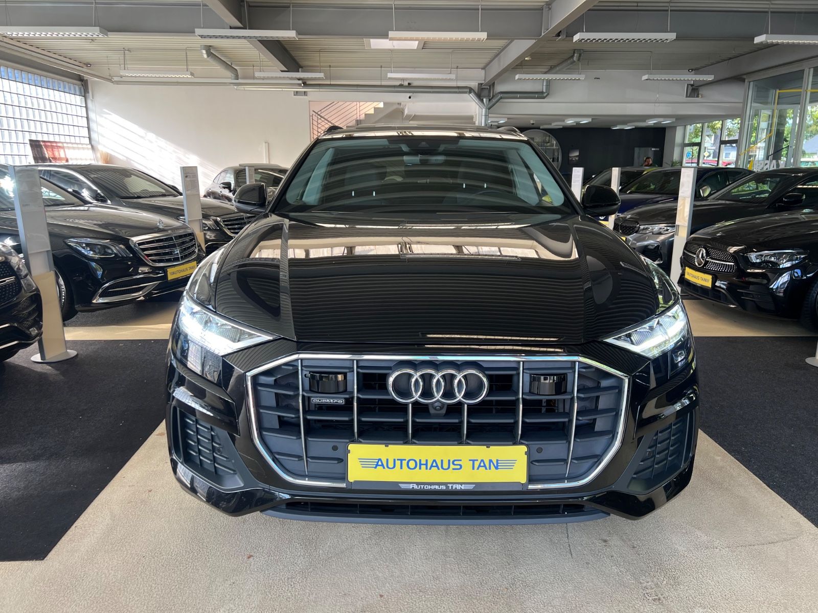 Fahrzeugabbildung Audi Q8 50 TDI quattro * PANO * 4x SITZHEIZUNG * 360
