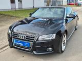 Audi A5 Cabriolet 2.0 TFSI  S line Sport / Plus PDC S - Audi A5 aus 2010: Line