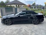 Ford  FORD MUSTANG CABRIO 2.3 ECOBOOST 310 KM - Ford Mustang: For