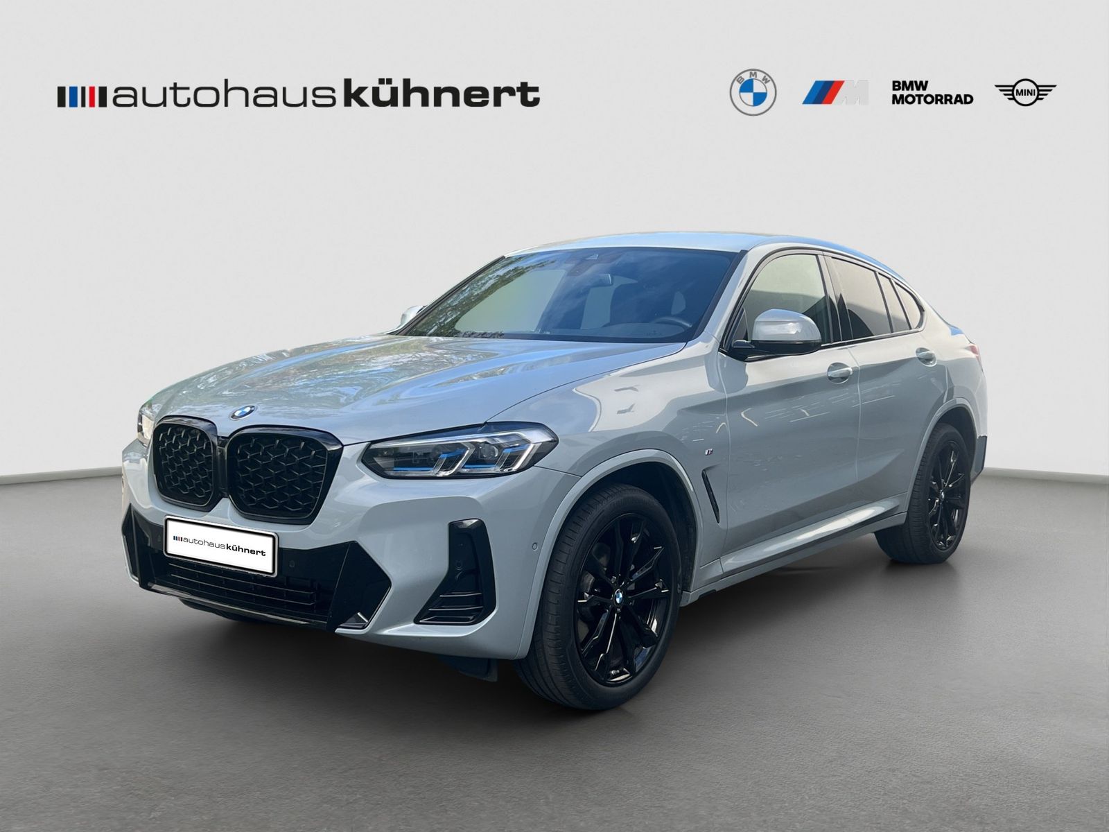 BMW X4 xDrive20i M-Sport Laser SpurAss Navi ParkAss foto 2