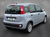 Fiat Panda 1.2 8V Easy Klima Radio DAB GJR USB elFH - gebrauchte Fiat Panda aus dem Jahr 2021