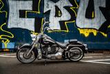 Harley-Davidson Softail Deluxe - HARLEY-DAVIDSON 2006