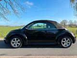 Volkswagen VW Beetle Cabriolet 1.6 - TÜV Neu - Sommer... - Volkswagen Beetle aus 2004: Cabrio