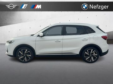 Mg ZS - 2