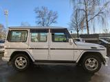 Mercedes-Benz G 500 Station Wagon Lang 463 - Mercedes-Benz G-Klasse: Pickup