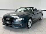 Audi A5 3.2 FSI S tronic quattro Cabriolet Navi*Xenon - Audi in Erfurt
