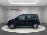 Fiat Panda 1.0 Firefly Hybrid //PDC hinten/Spurhaltea - Fiat Panda Jahreswagen