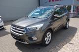 Ford Kuga 2.0 TDCi 4x4 Titanium NAVI/AHK/KLIMAAUTO/WR - Ford Kuga Gebrauchtwagen in Leipzig
