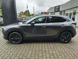 Mazda CX-30 2.0L e-SKYACTIV X FWD Nagisa - Mazda CX-30 mit Hybrid-Antrieb: Nagisa