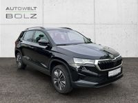 Skoda Karoq - Vorschau Bild 3