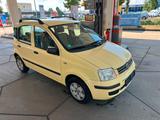 Fiat Panda 1.2/Klima - Fiat Panda in Dresden