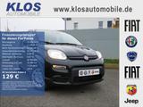 Fiat Panda HYBRID 1.0 GSE 70PS PDC CITY PAKET RADIO - gebrauchte Fiat Panda aus dem Jahr 2024