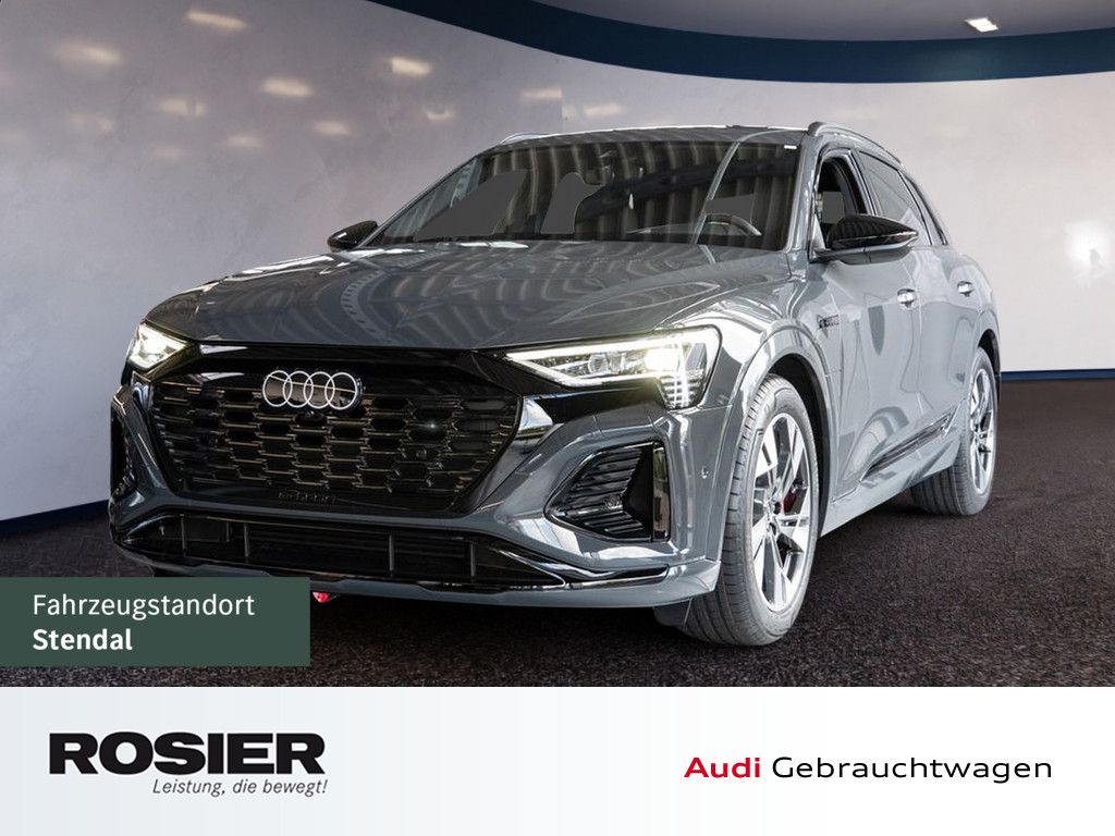 Audi Q8 S line 50 e-tron quattro STANDHZ. LUFTF. ACC