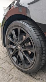 Seat Leon 1.5 TSI ACT 110kW FR Black Matt Ed. Spo... - Seat Leon in Mainz